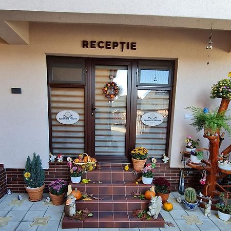 فندق Splendid House Făgăraş المظهر الخارجي الصورة