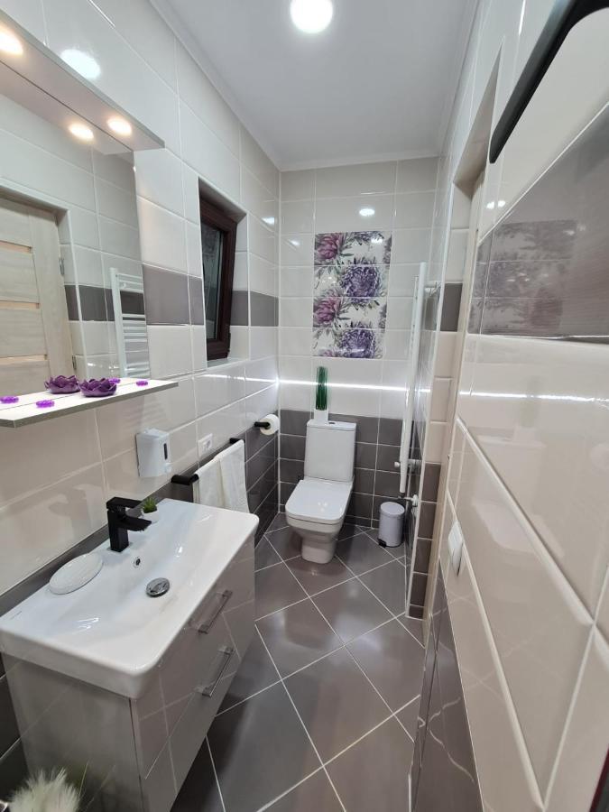 فندق Splendid House Făgăraş المظهر الخارجي الصورة