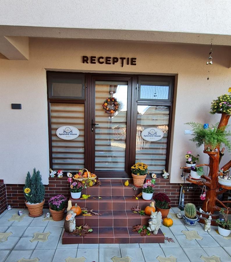 فندق Splendid House Făgăraş المظهر الخارجي الصورة